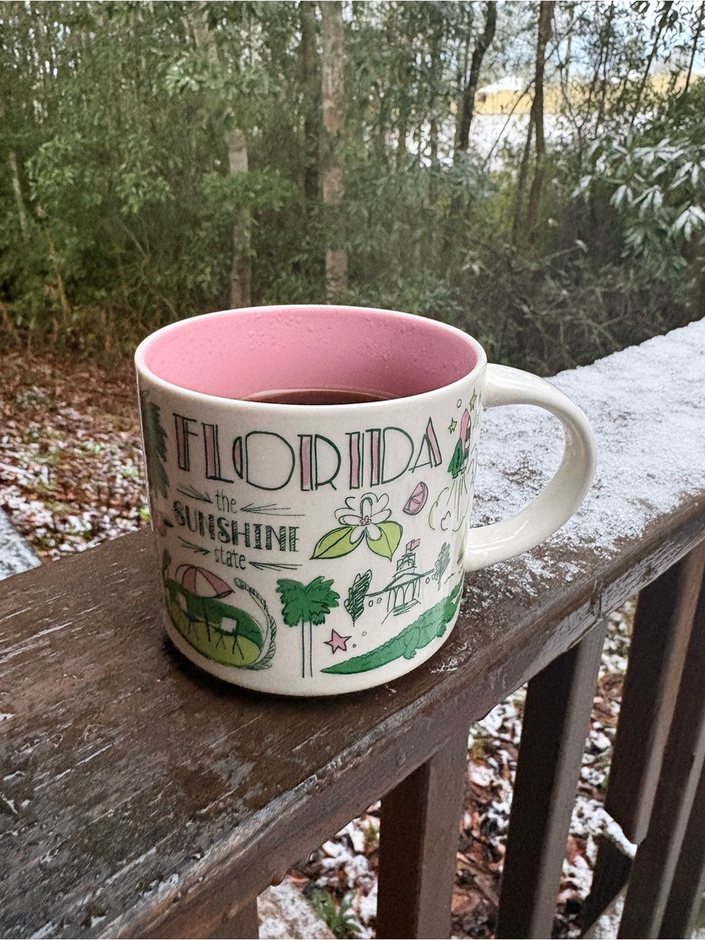 Starbucks Florida Been There Series 14 Oz Mug Pink Green Sunshine State